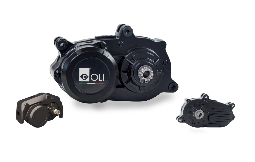 OLI Sport