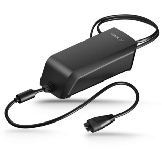 Bosch Fast Charger EU (BCS250)
