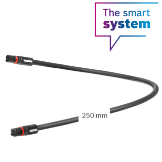 Bosch BCH3611 (250 mm)