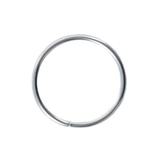 PANASONIC Lockring (2013)