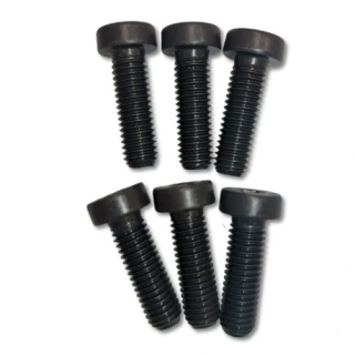 Panasonic Engine Screw (6 ks)